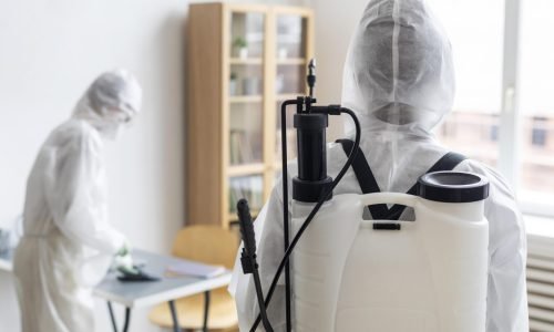 pest control service in Ahmedabad